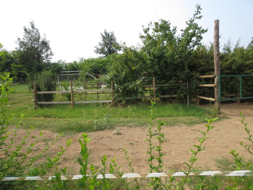 Parco Del Chiese Bedizzol